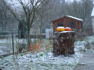 DSC00186