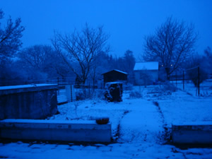 DSC00217
