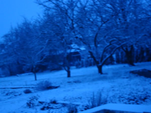 DSC00219