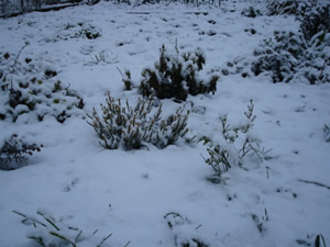 DSC00222