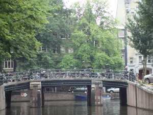 DSC00806