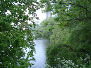DSC00096