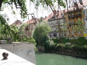 DSC00493