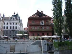 DSC00494