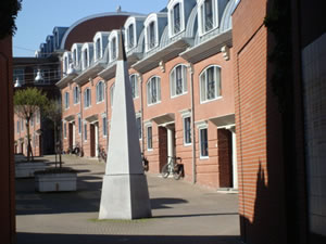 DSC00653