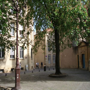 DSC00338