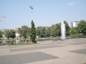 DSC00370