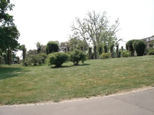 DSC00378