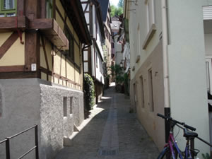 DSC00383