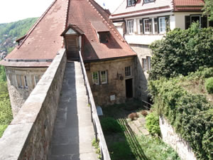 DSC00398