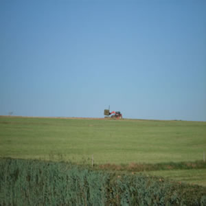 DSC00625