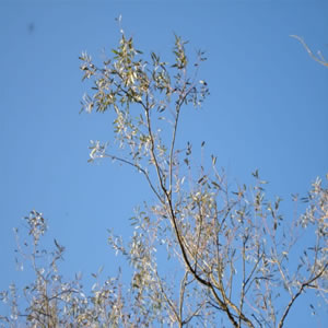 DSC00635
