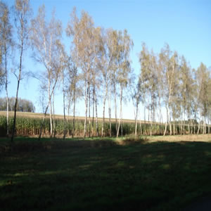 DSC00638