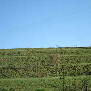 DSC00640