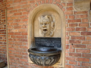 DSC00516