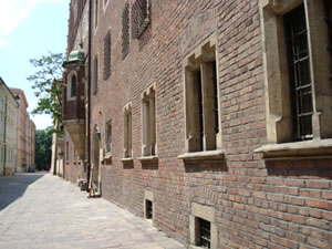 DSC00518