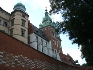DSC00519