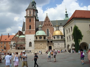 DSC00524