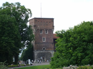 DSC00526