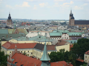 DSC00534