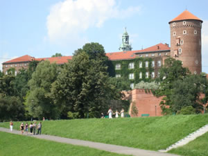 DSC00541