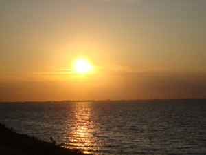 DSC00726
