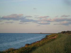 DSC00727