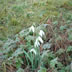DSC00033
