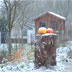 Autunm - Winter 2008