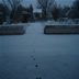DSC00199