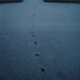 DSC00200