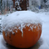 DSC00220