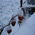 DSC00224