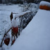 DSC00225