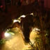DSC00342