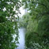 DSC00096