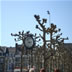 Een zonnig lenteweer in het zuid Nederlands