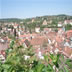 DSC00391