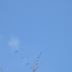 DSC00032