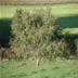 DSC00630