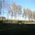 DSC00638