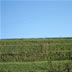 DSC00640