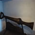 DSC00529