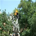 DSC00538